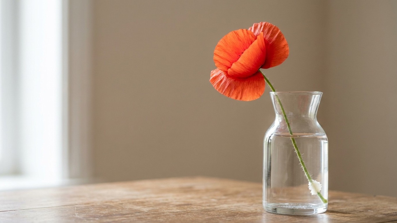 J'ai coupé une brassée de coquelicots juste pour égayer la table du dimanche : une heure plus tard, j'ai compris ce que ce...